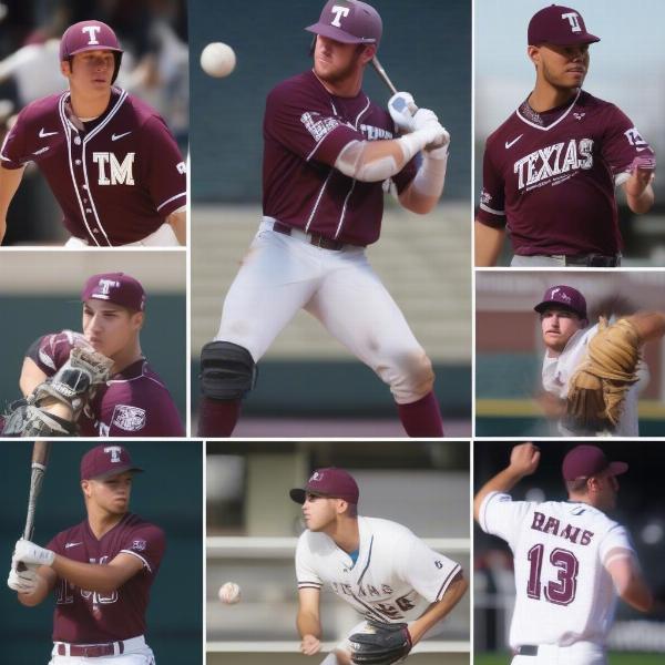 Texas A&M Baseball Star Players to Watch