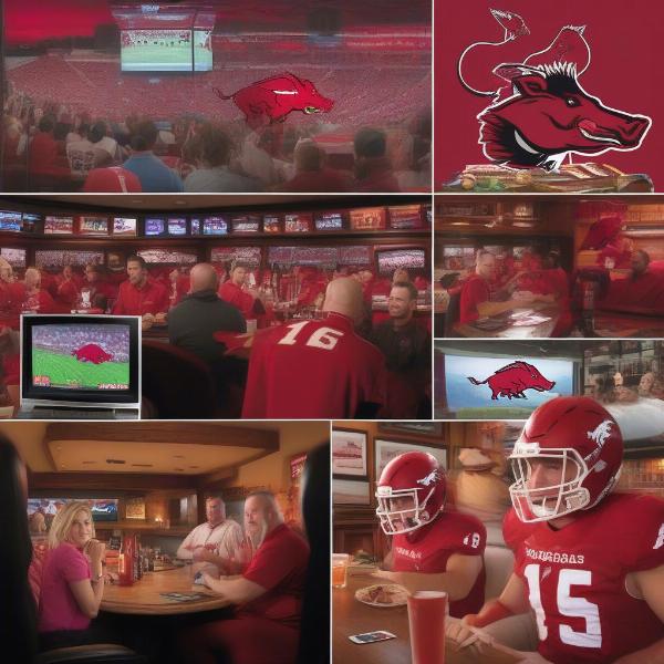 Alternative Ways to Follow the Razorbacks: Radio and Sports Bars