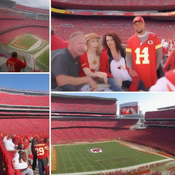 Arrowhead Stadium Welcomes Celebrities