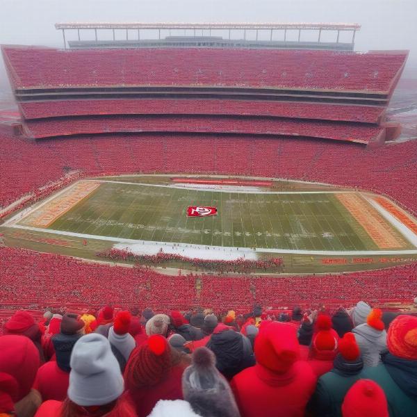 Arrowhead Stadium Fans Braving the Cold