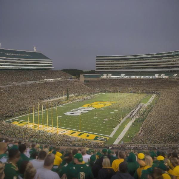 Baylor Fans Cheering at McLane Stadium