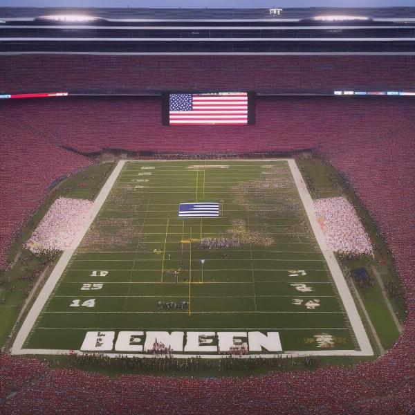Packed Stadium at the Big Ten Championship Game