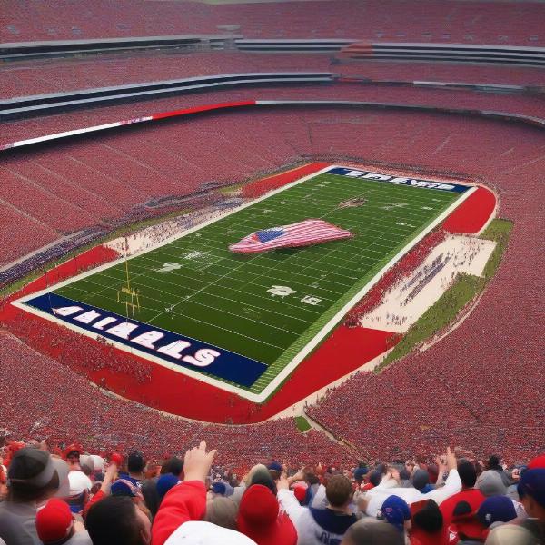 Bowl Game Stadium Packed with Cheering Fans