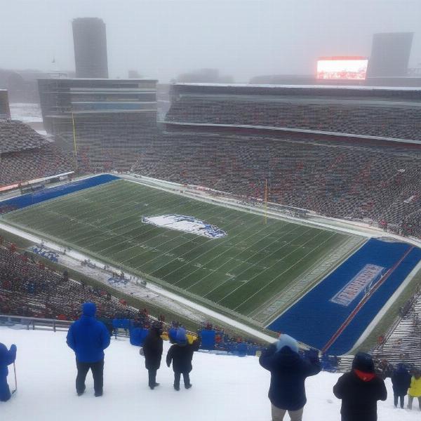 Buffalo Bills Fans Braving the Cold at Highmark Stadium