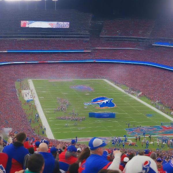Buffalo Miami Game Highlights and Fan Reactions: The Thrill of Victory and the Agony of Defeat