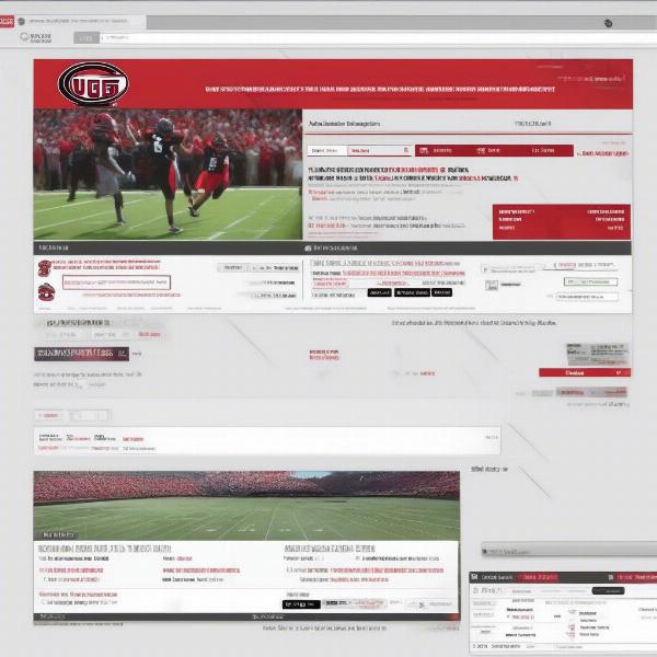 Checking UGA Game Schedule Online