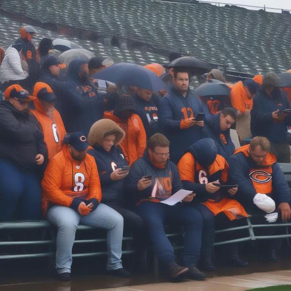 Chicago Bears Fans Waiting Out a Game Delay