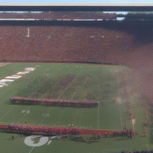 Packed Stadium at the Civil War Game in Oregon