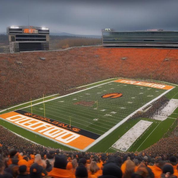 Packed Reser Stadium during Civil War Game