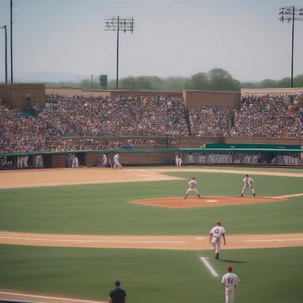 College baseball game lasting nine innings