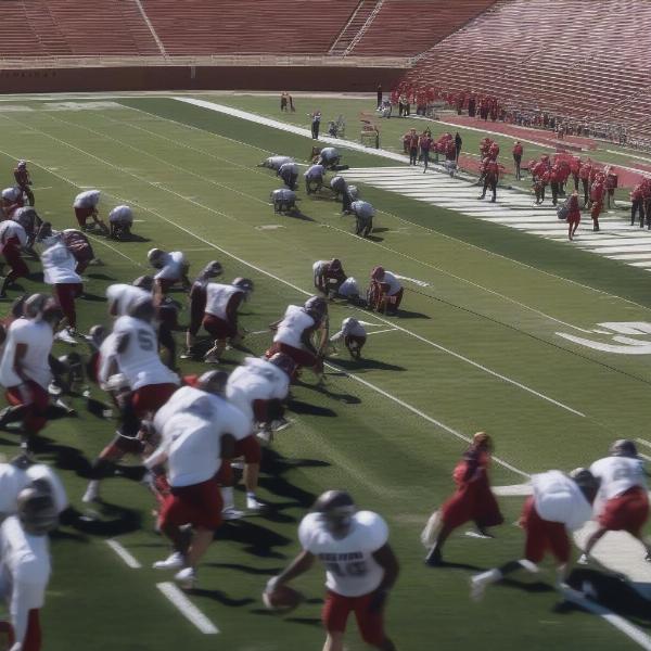 College Football Team Practicing for Bowl Game