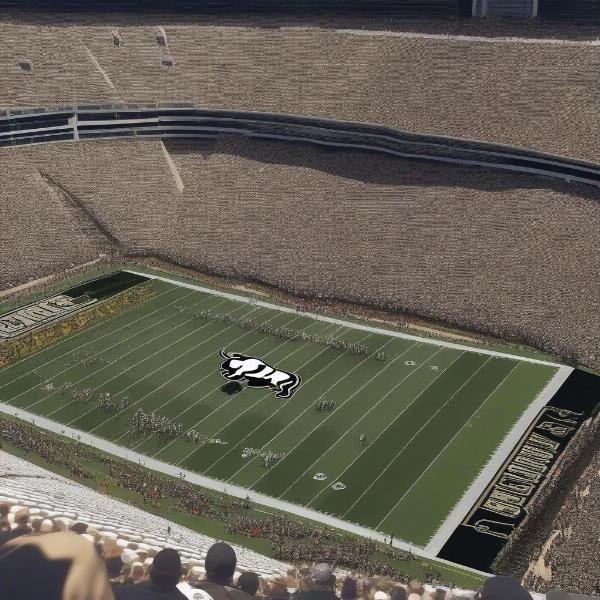 Colorado Buffaloes in a Bowl Game
