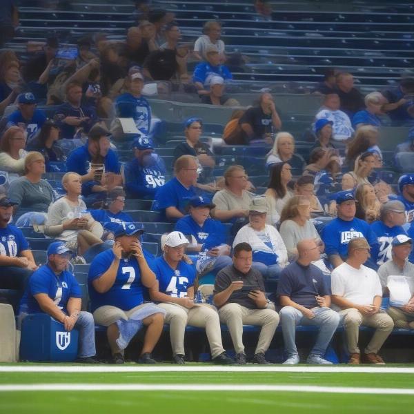 Colts Fans Waiting During Game Delay