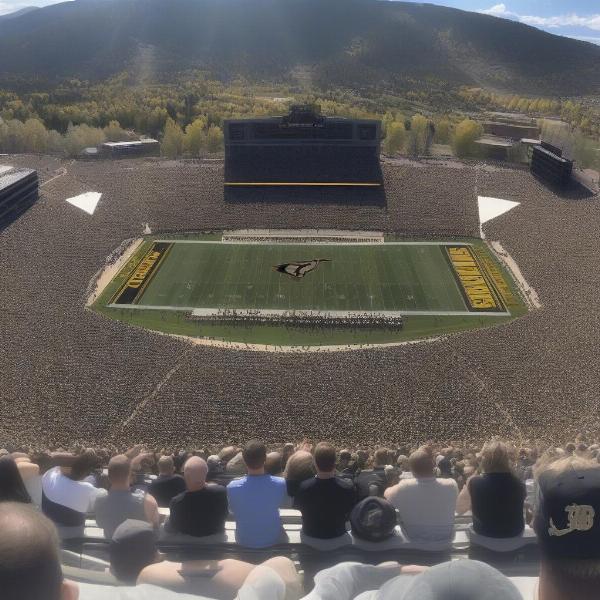 Attending a CU Buffs Game at Folsom Field: The Ultimate Fan Experience