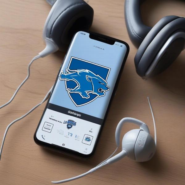 Detroit Lions Radio Broadcast Online Streaming