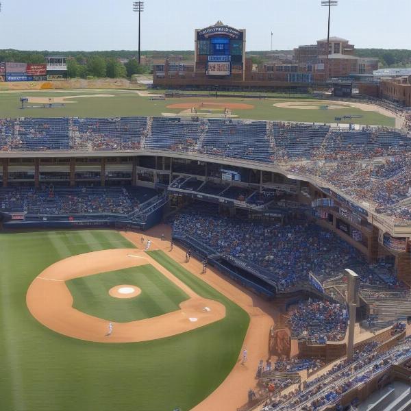 Durham Bulls Ballpark Experience