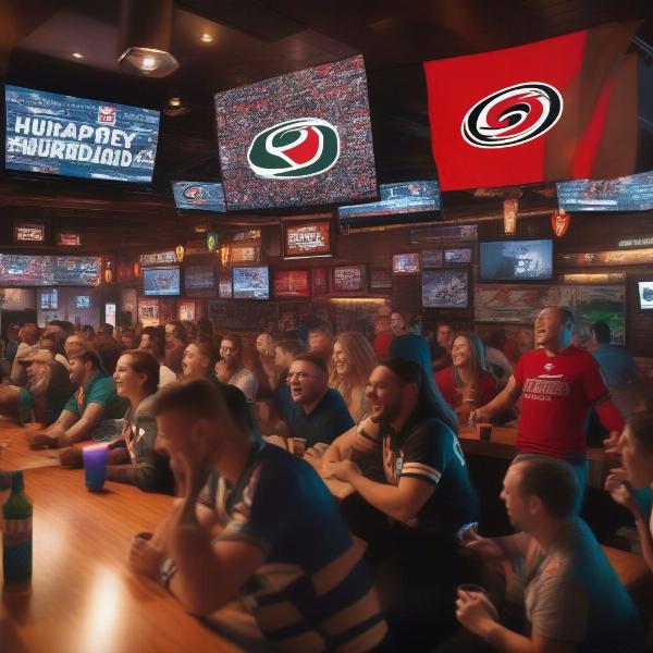 Enhancing the Hurricanes Game Viewing Experience