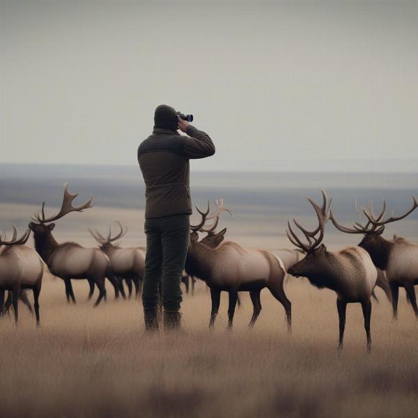 Fair Chase Hunting Ethics