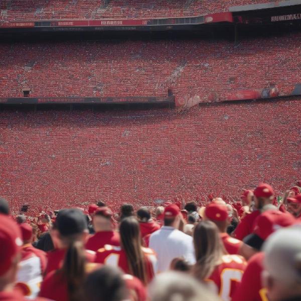 Fans Searching for Taylor Swift at a Game