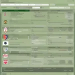 FM24 Simulation Match Options