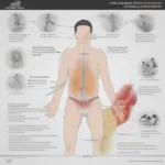 football-players-bladder-control-under-pressure