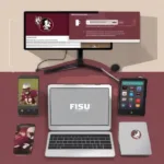 FSU Game Broadcast Options: TV, Streaming, and Radio