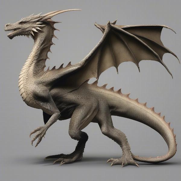 Game of Thrones Dragon vs. Wyvern Anatomy: A Detailed Comparison