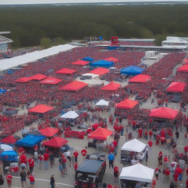 Georgia Florida Game Fans Tailgating