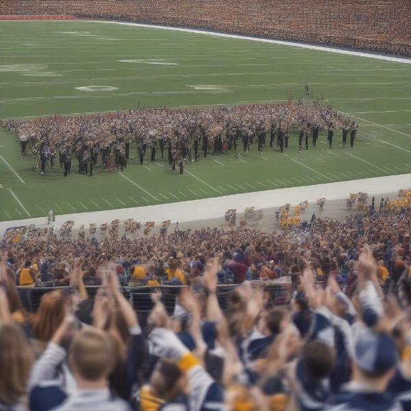 Iowa Michigan Game Stadium Atmosphere