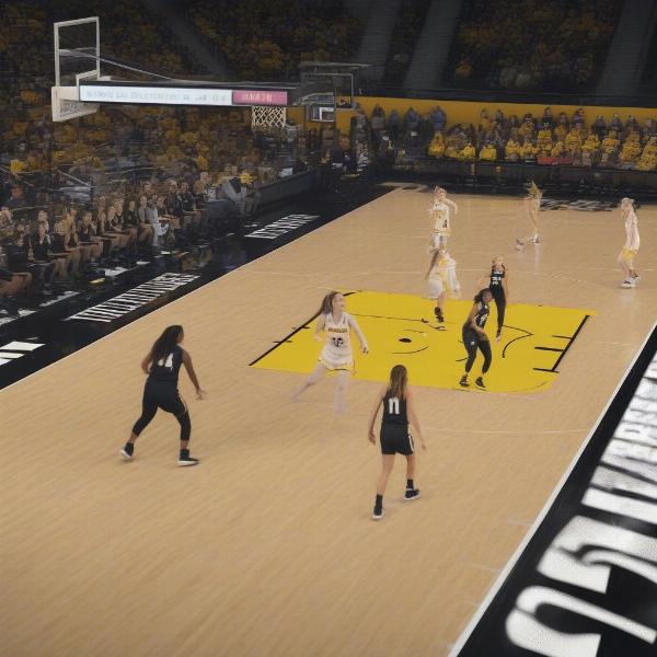 Iowa Women's Basketball Game Broadcast