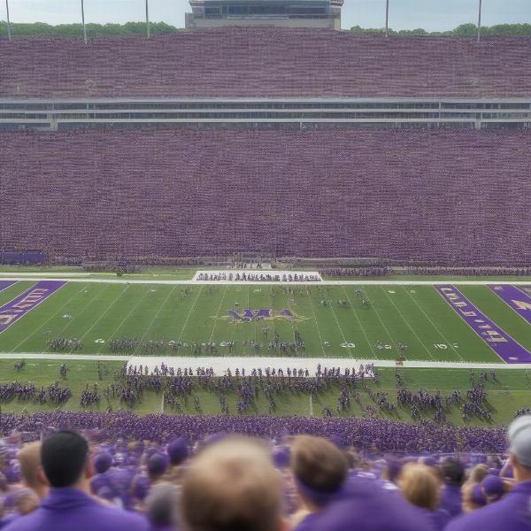 JMU Fans Supporting the Dukes Football Team