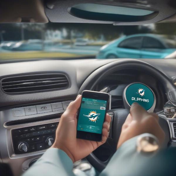 Listening to the Miami Dolphins Game on Radio