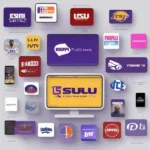 LSU Game Streaming Options