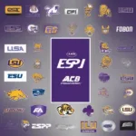 LSU Game Televised: Broadcast Options