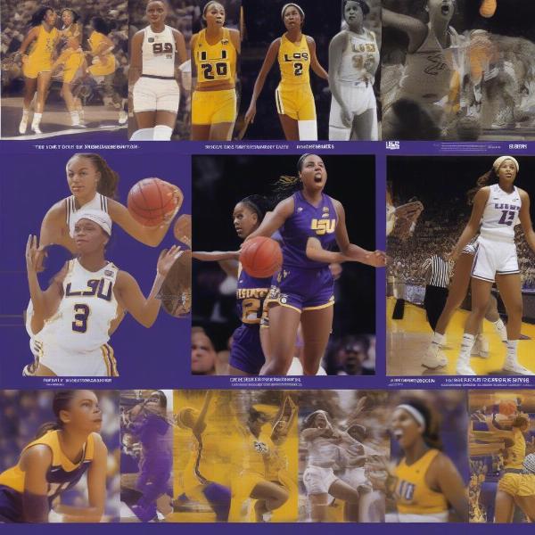 A historical overview of the LSU Women’s Basketball program achievements and milestones
