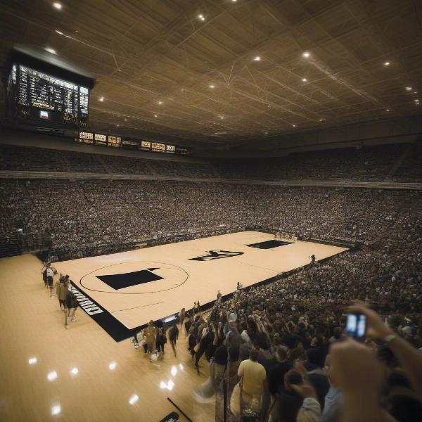 mackey-arena-purdue-boilermakers-home-court
