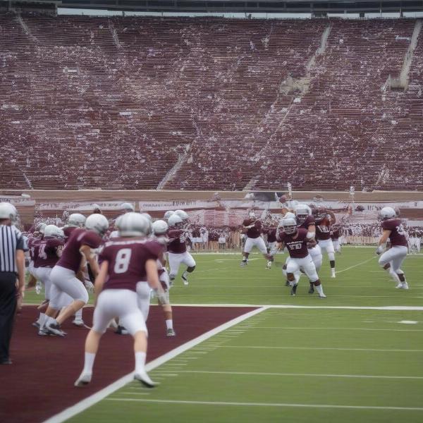 Aggies in Action at the Maroon and White Game 2024