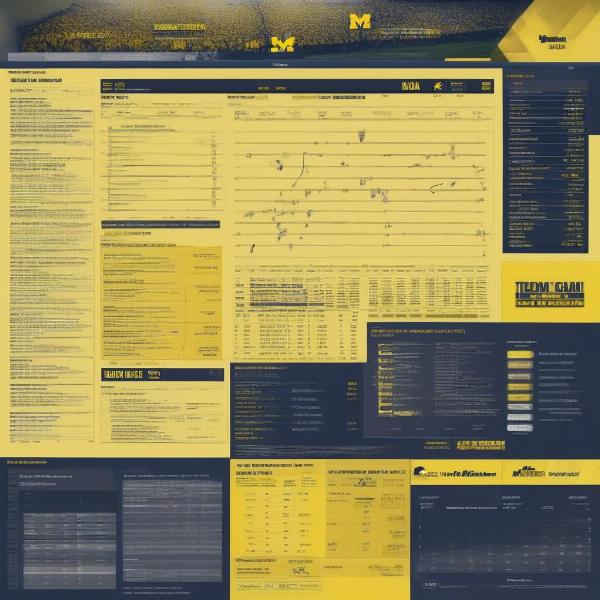 Michigan Iowa Post-Game Analysis and Stats