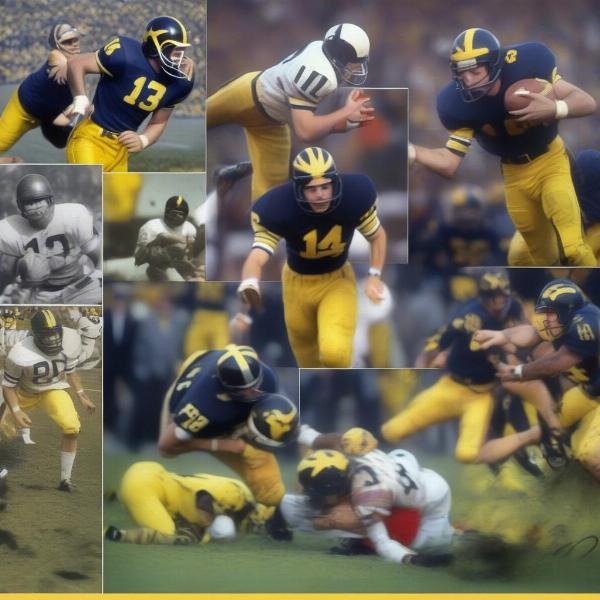 Highlights of Michigan vs Iowa Football Rivalry