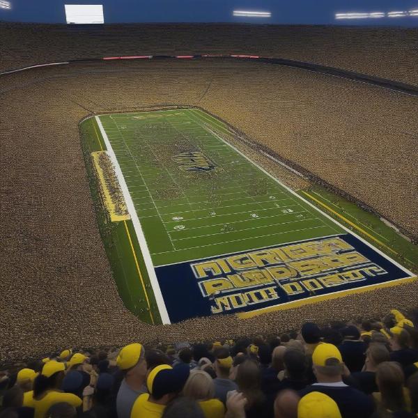 Michigan Purdue Football Rivalry Image
