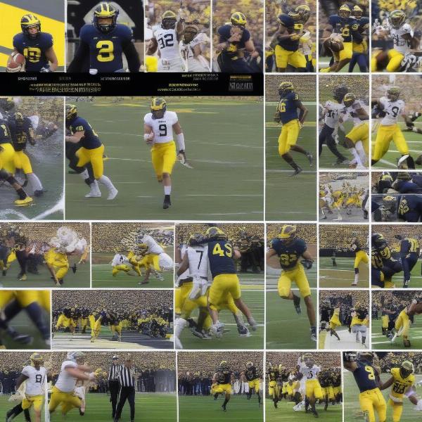 Michigan Purdue Game Highlights