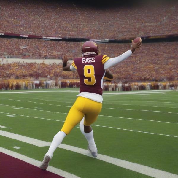Minnesota Gophers Football Game Broadcast on TV