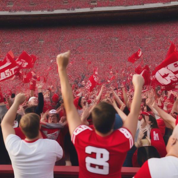 NC State Fans Excited for the Bowl Game