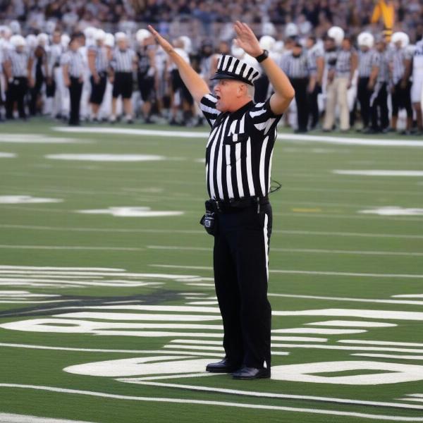 NCAA Football Game Clock Stoppage in Action
