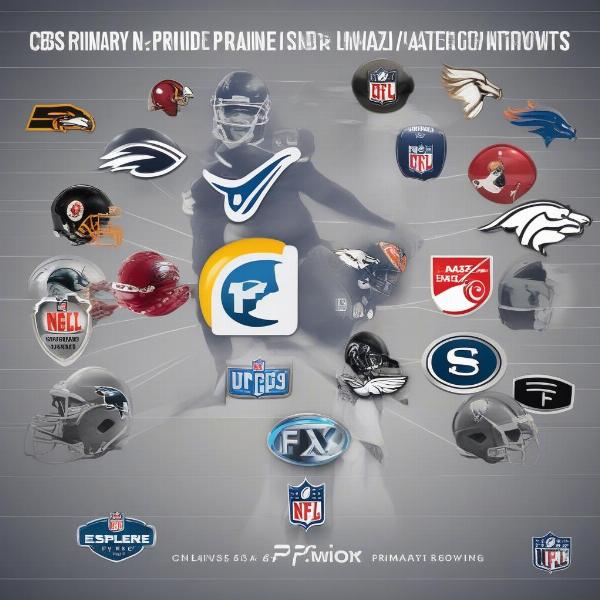 NFL Broadcasting Networks Landscape