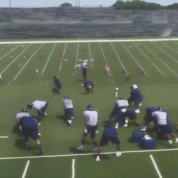 NFL Players Participating in Intense Training Camp Drills