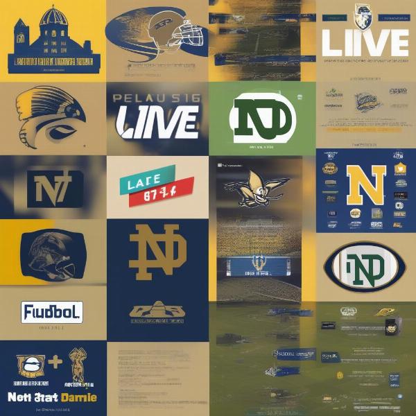 Streaming Options for Watching Notre Dame Games