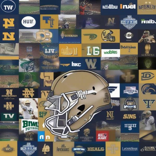 Notre Dame Streaming Options