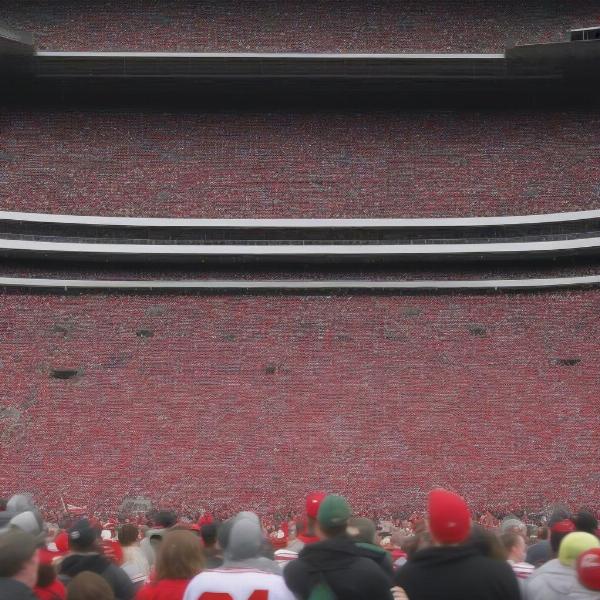 Ohio State and Michigan State Fans Cheering in the Stands