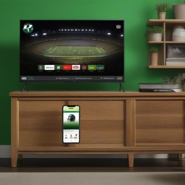 Oregon Ducks Football Game Broadcast Information